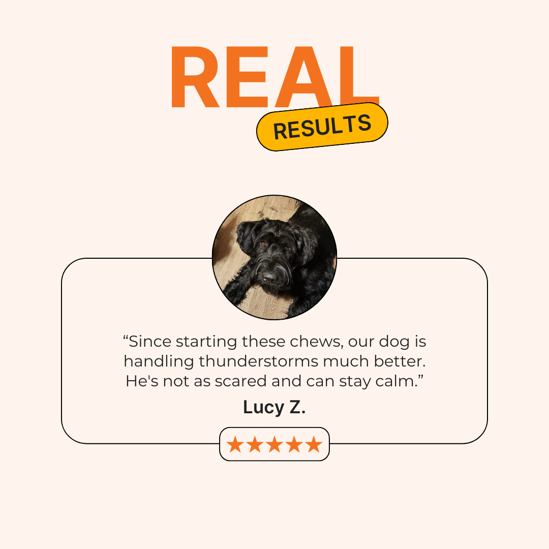 Petiblet™ - The Natural Chew to Soothe Stress and Anxiety—Anytime!