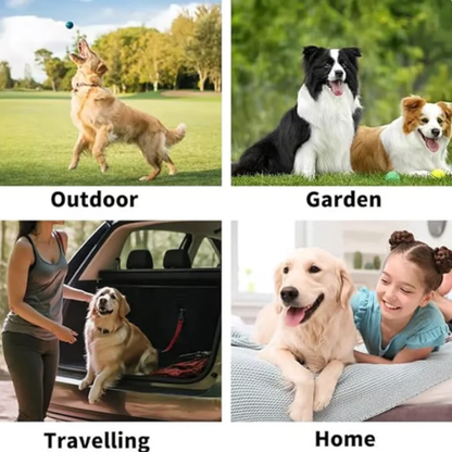 🔥 Petiblet™ Rinse-Free Dog Shampoo Mitts – Hypoallergenic Pet Bath Wipes | 6-Pack for Easy Grooming & Sparkling Clean Fur 🐶✨