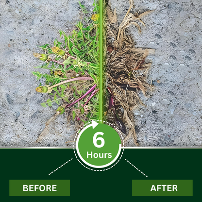 🏆 Official Store | AEXZR® 2 in 1 Max Power Herbicide