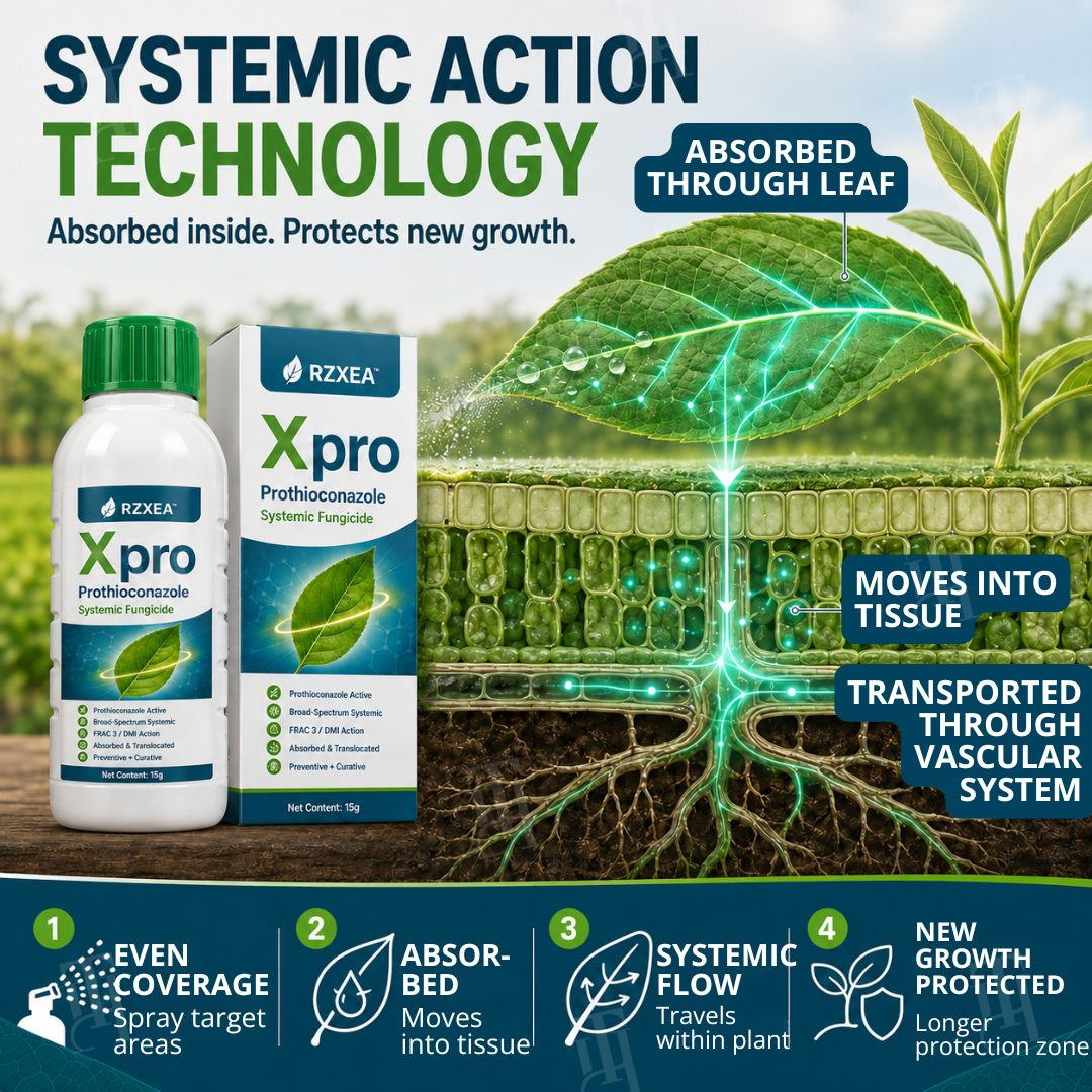 [Official Store] RZXEA™  Xpro Prothioconazole Systemic Fungicide