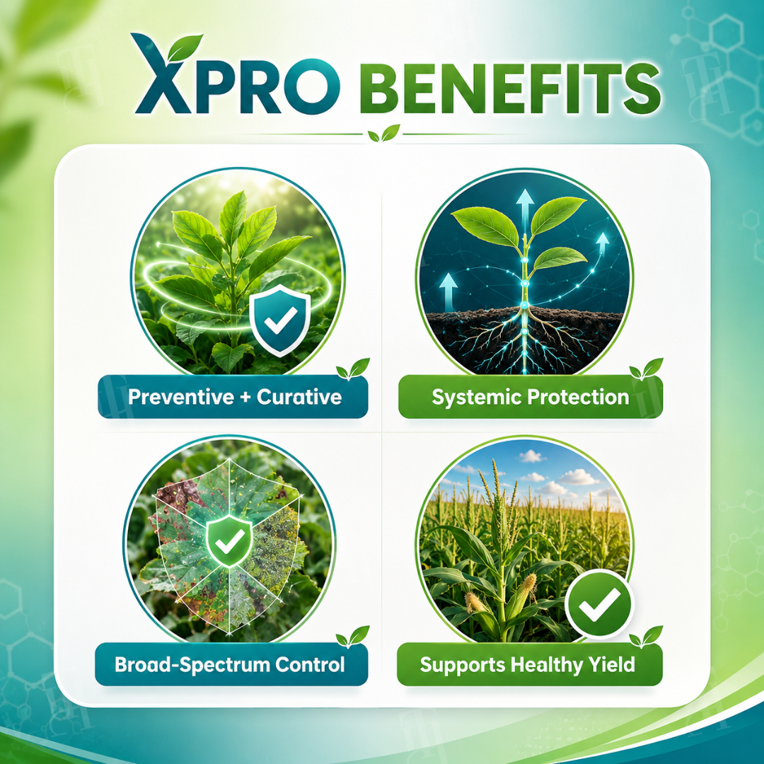 [Official Store] RZXEA™  Xpro Prothioconazole Systemic Fungicide