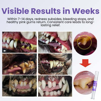 🌟 Official Store | Petiblet™ Pet Hyaluronic Acid Repair Gel