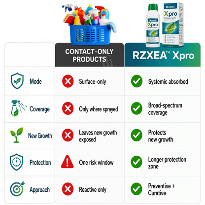 [Official Store] RZXEA™  Xpro Prothioconazole Systemic Fungicide