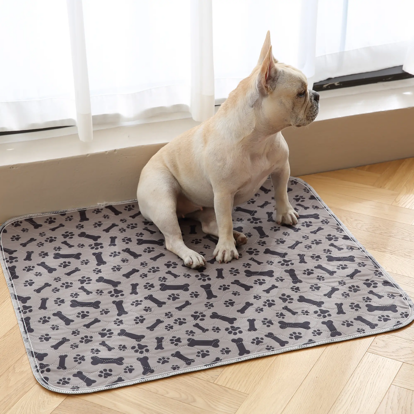 🐶The Pinnacle of Pet Pee Pads! - The Last Pee Pad You'll Get