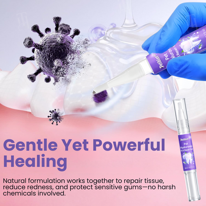🌟 Official Store | Petiblet™ Pet Hyaluronic Acid Repair Gel