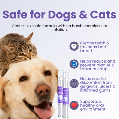 🌟 Official Store | Petiblet™ Pet Hyaluronic Acid Repair Gel
