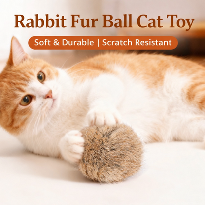 ⭐RZXEA™ Soft Fluffy Cat Toy Ball