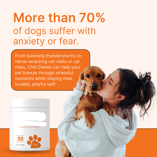 Petiblet™ - The Natural Chew to Soothe Stress and Anxiety—Anytime!