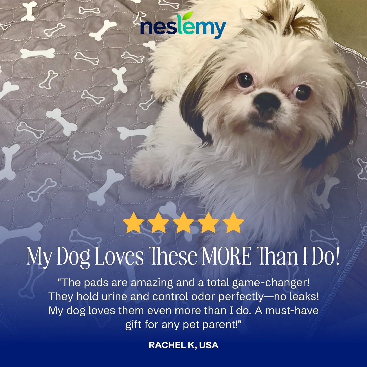 🐶The Pinnacle of Pet Pee Pads! - The Last Pee Pad You'll Get