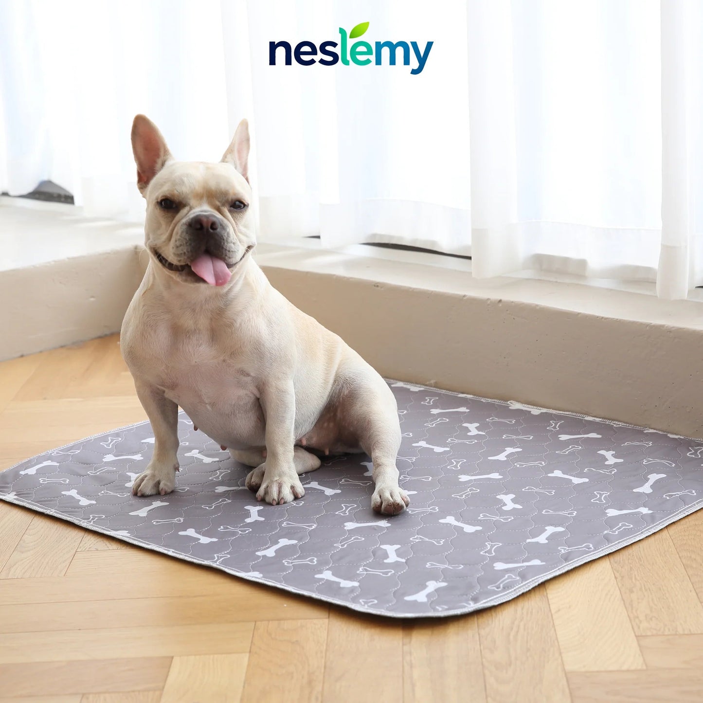 🐶The Pinnacle of Pet Pee Pads! - The Last Pee Pad You'll Get