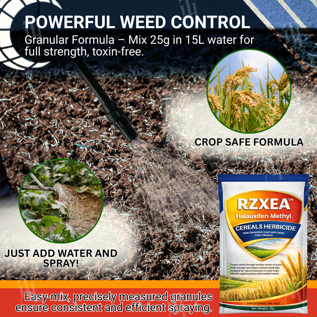 🔥2026 Hot Sale🔥 RZXEA™ Halauxifen-methyl Cereals Herbicide