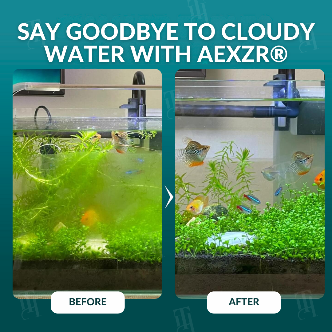 🔥2026 Hot Sale🔥 AEXZR® Aquariums Aqua-Guardian Blend