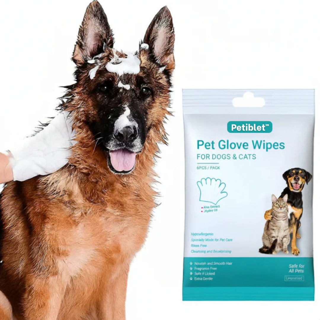 🔥 Petiblet™ Rinse-Free Dog Shampoo Mitts – Hypoallergenic Pet Bath Wipes | 6-Pack for Easy Grooming & Sparkling Clean Fur 🐶✨