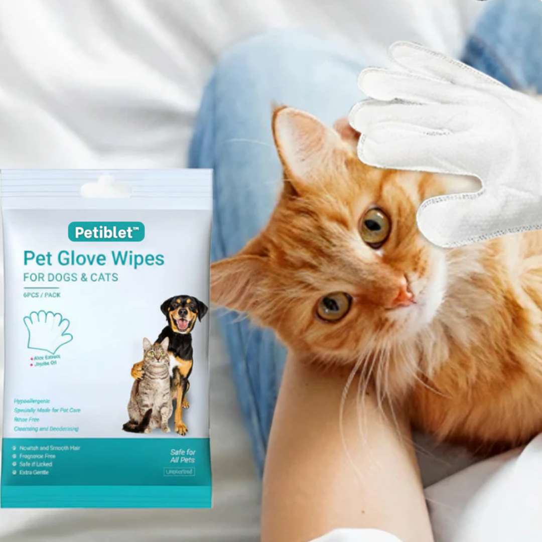 🔥 Petiblet™ Rinse-Free Dog Shampoo Mitts – Hypoallergenic Pet Bath Wipes | 6-Pack for Easy Grooming & Sparkling Clean Fur 🐶✨