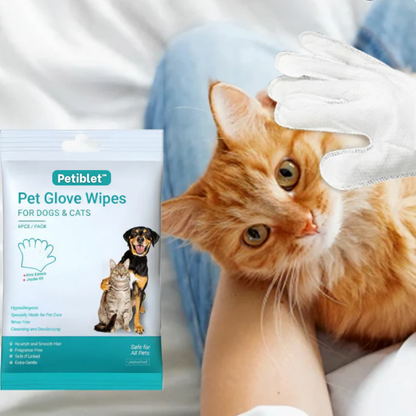 🔥 Petiblet™ Rinse-Free Dog Shampoo Mitts – Hypoallergenic Pet Bath Wipes | 6-Pack for Easy Grooming & Sparkling Clean Fur 🐶✨