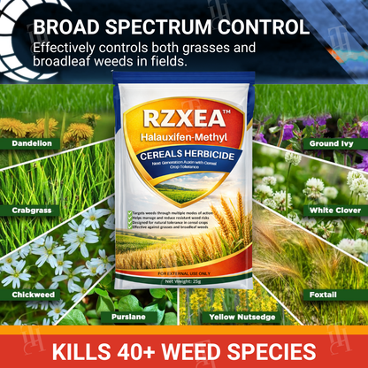 🔥2026 Hot Sale🔥 RZXEA™ Halauxifen-methyl Cereals Herbicide