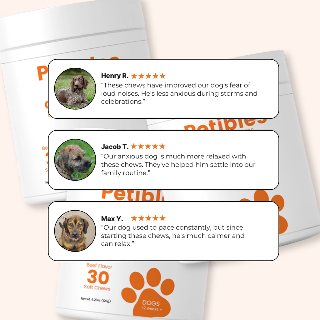 Chill Chews - The Natural Chew to Soothe Stress and Anxiety—Anytime!