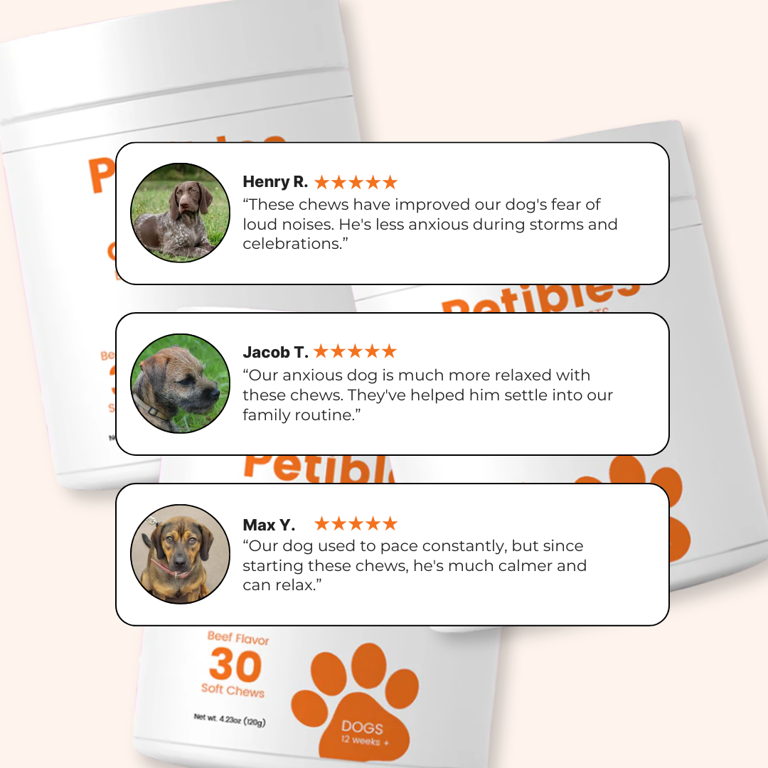 Chill Chews - The Natural Chew to Soothe Stress and Anxiety—Anytime!