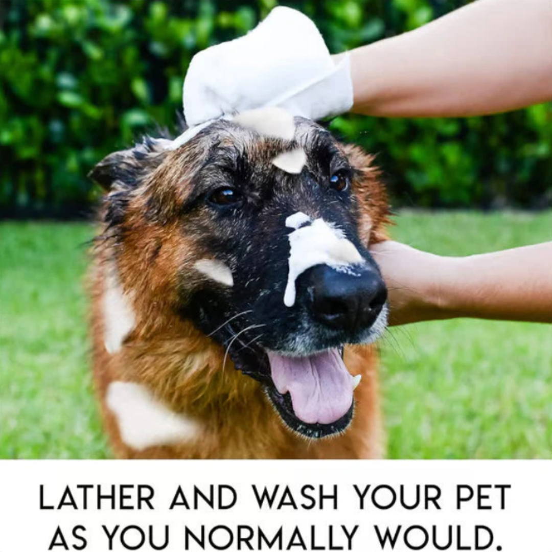 🔥 Petiblet™ Rinse-Free Dog Shampoo Mitts – Hypoallergenic Pet Bath Wipes | 6-Pack for Easy Grooming & Sparkling Clean Fur 🐶✨
