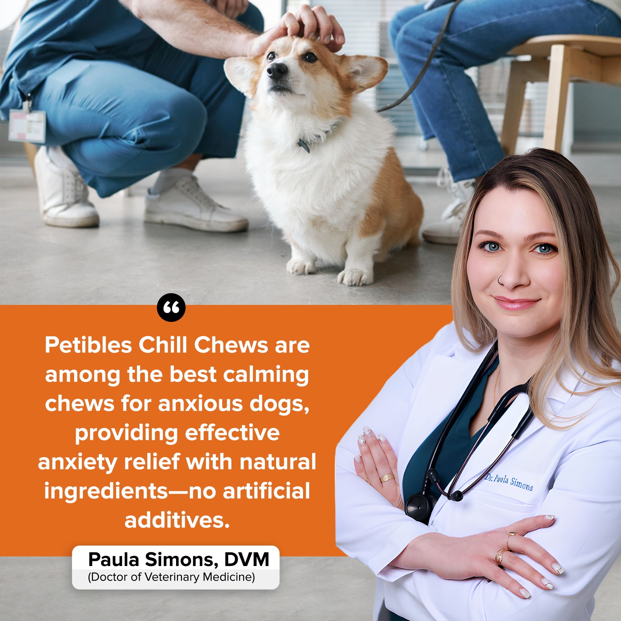 Chill Chews - The Natural Chew to Soothe Stress and Anxiety—Anytime!