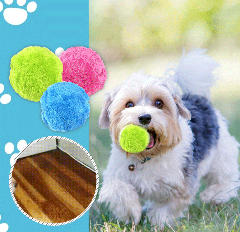 🐾 Zero Effort Playtime, Endless Pet Fun | RZXEA™ Active Rolling Ball