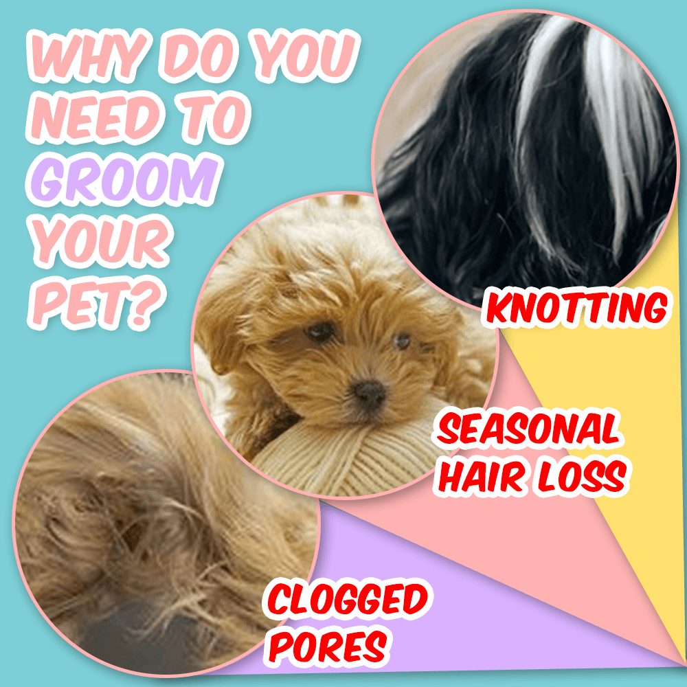 Petiblet™ Self-Cleaning Pet Grooming Brush