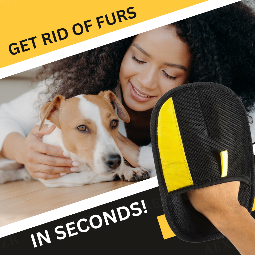 🐾 Ditch the Lint Rollers for Good | Pet Magic Grooming Glove