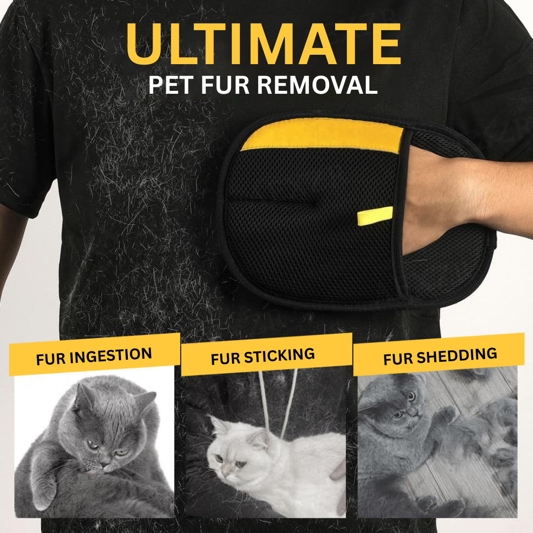 🐾 Ditch the Lint Rollers for Good | Pet Magic Grooming Glove