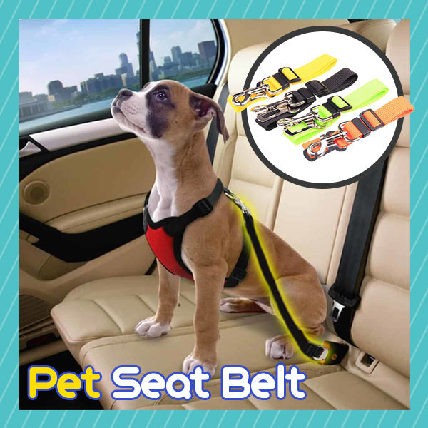 🌟 Official Store | Petiblet™ Pet Seat Belt
