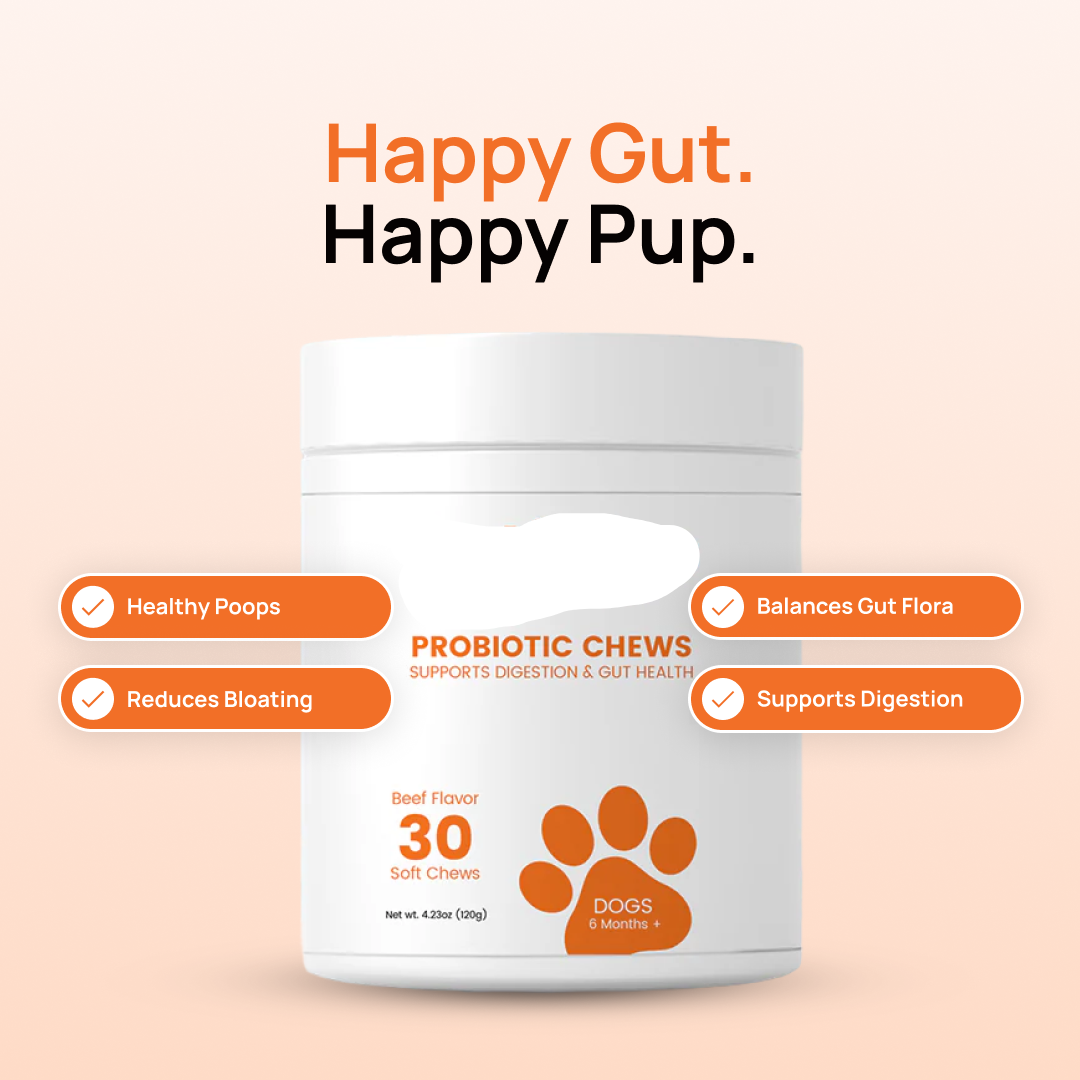 Probiotic Chews