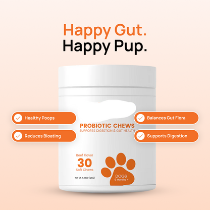Probiotic Chews