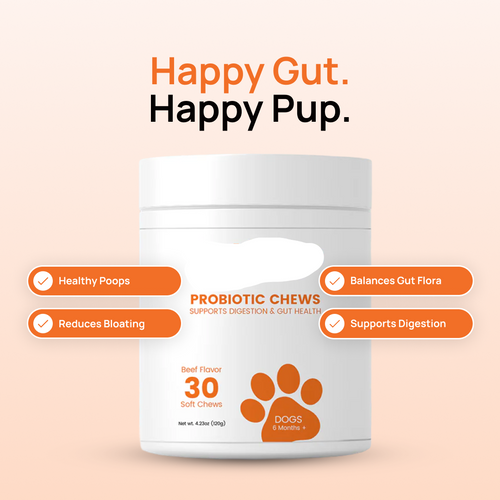 Probiotic Chews