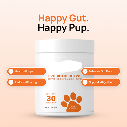 Probiotic Chews