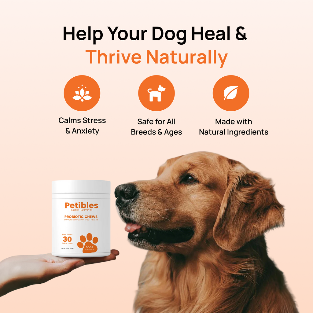 Example Chill Chews For Testing