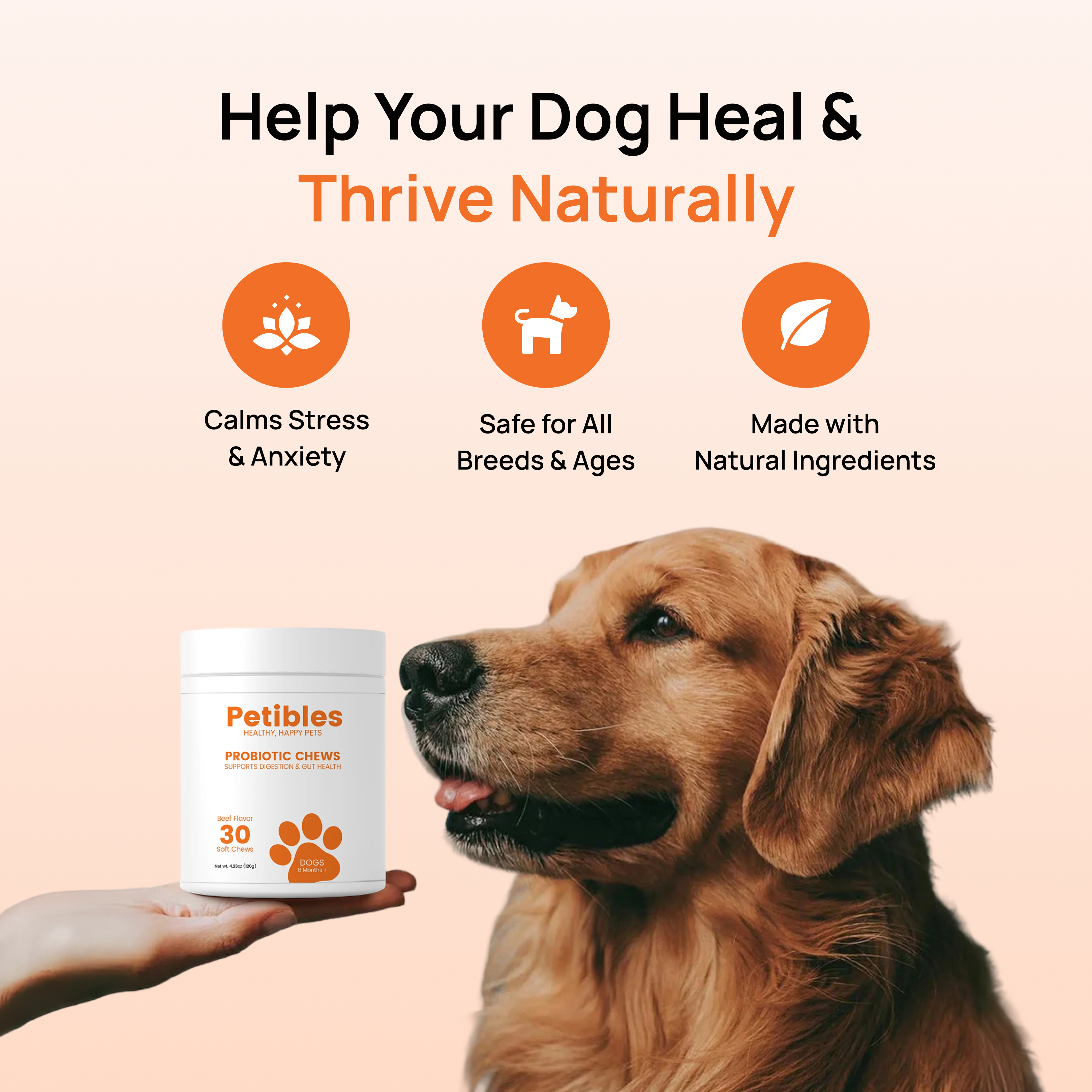 Example Chill Chews For Testing