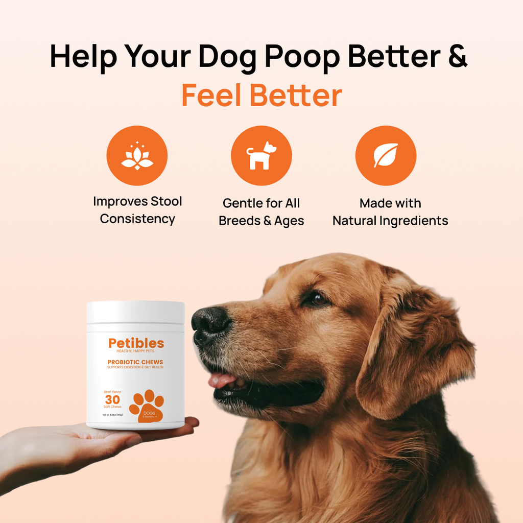 Petibles Probiotic Chews for Dogs – Digestive, Immune & Skin Support, Beef Flavor, 30‑Count