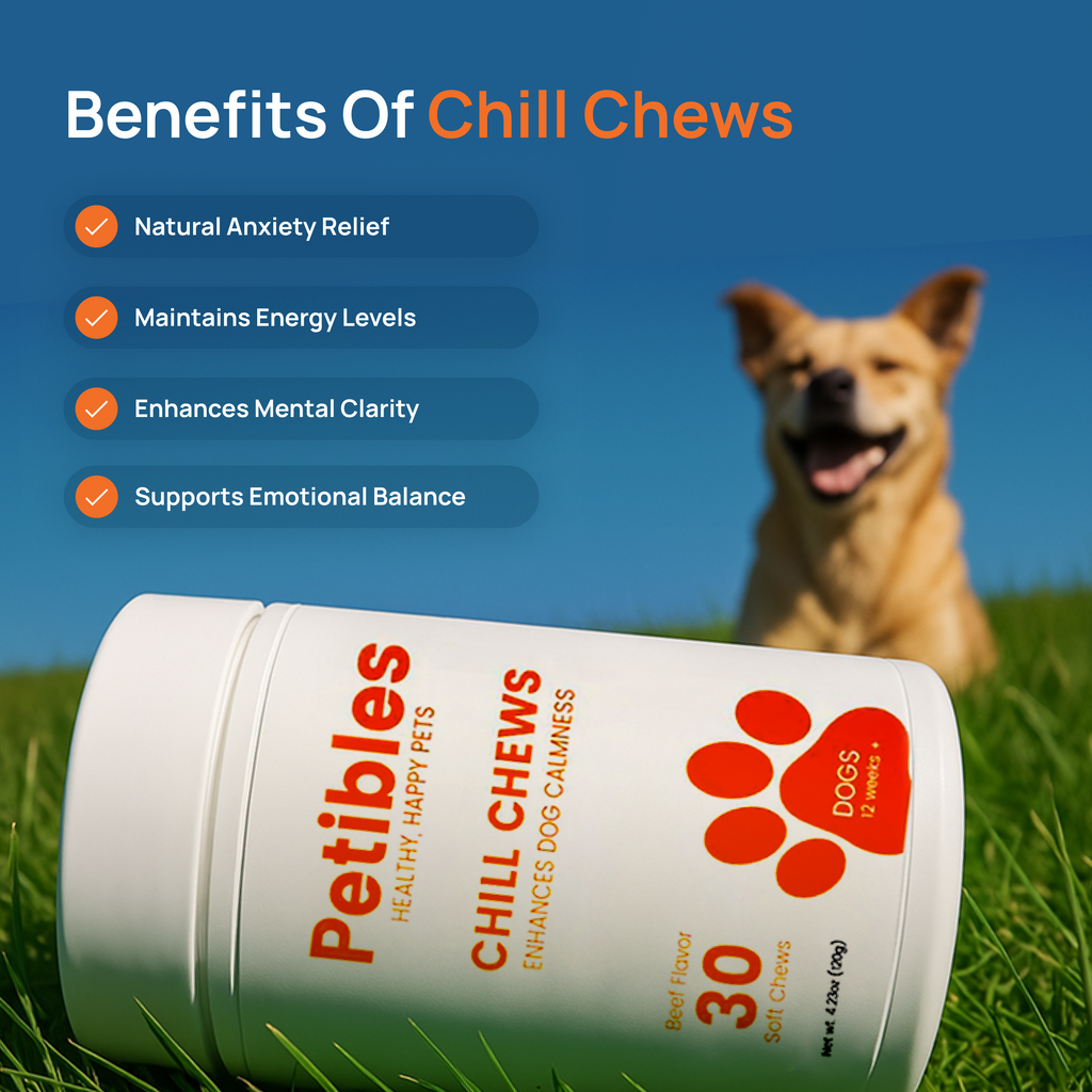 Example Chill Chews For Testing