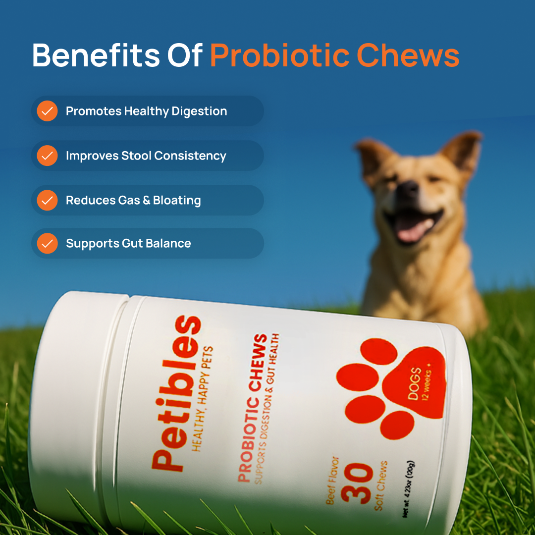 Petibles Probiotic Chews for Dogs – Digestive, Immune & Skin Support, Beef Flavor, 30‑Count