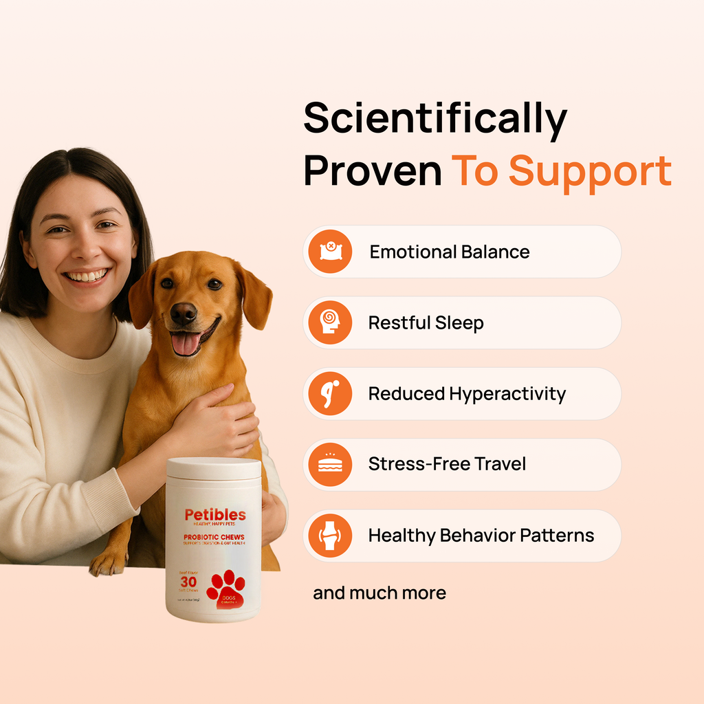 Example Chill Chews For Testing