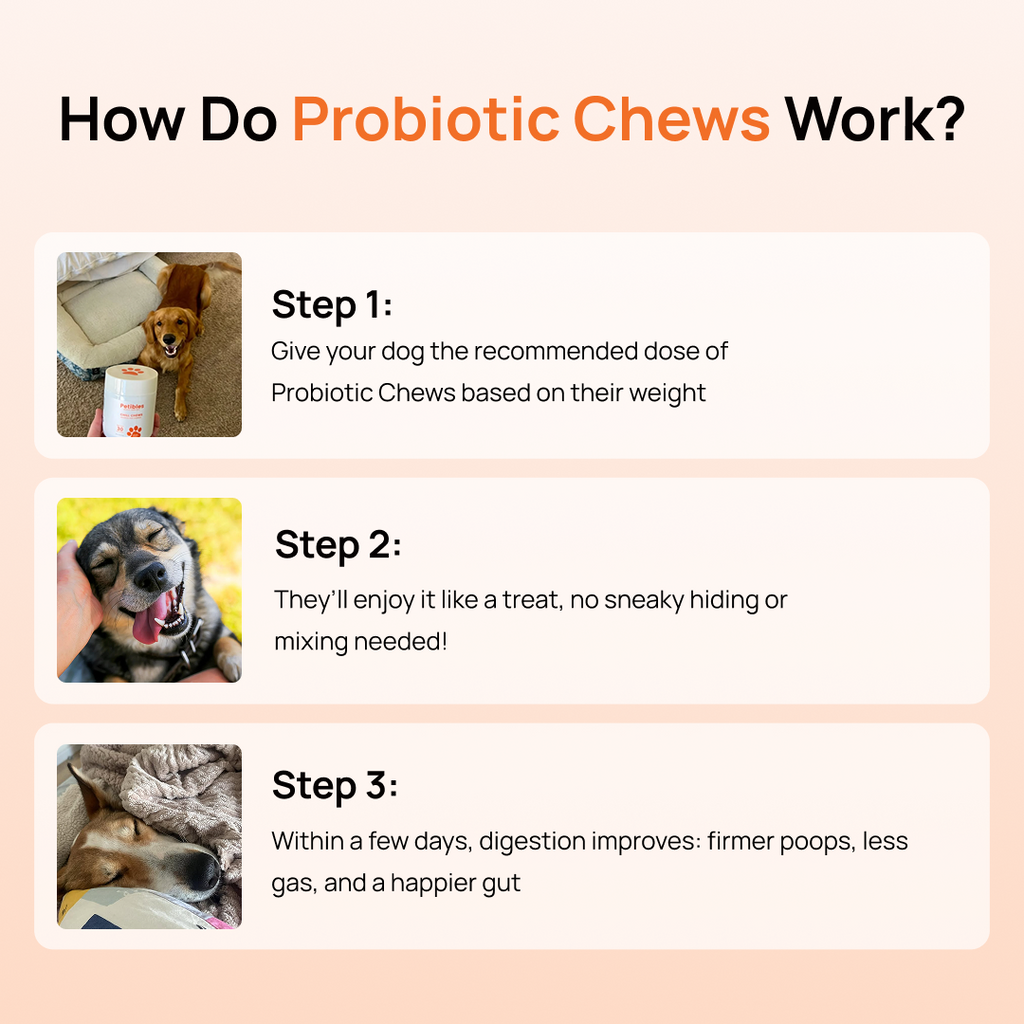 Probiotic Chews