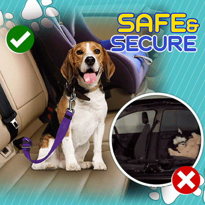 🌟 Official Store | Petiblet™ Pet Seat Belt
