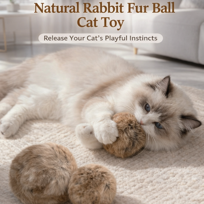 ⭐RZXEA™ Soft Fluffy Cat Toy Ball