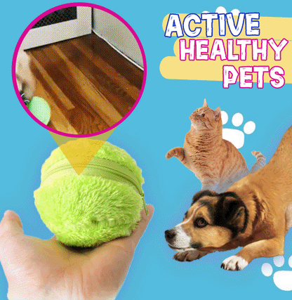 🐾 Zero Effort Playtime, Endless Pet Fun | RZXEA™ Active Rolling Ball
