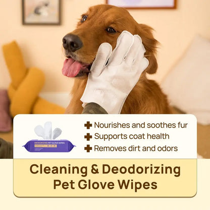 🔥2026 Hot Sale 49% OFF🐶🐱PET Glove Wipes