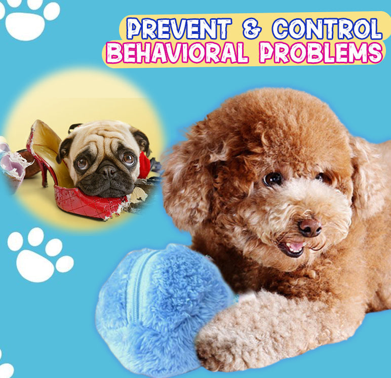 🐾 Zero Effort Playtime, Endless Pet Fun | RZXEA™ Active Rolling Ball
