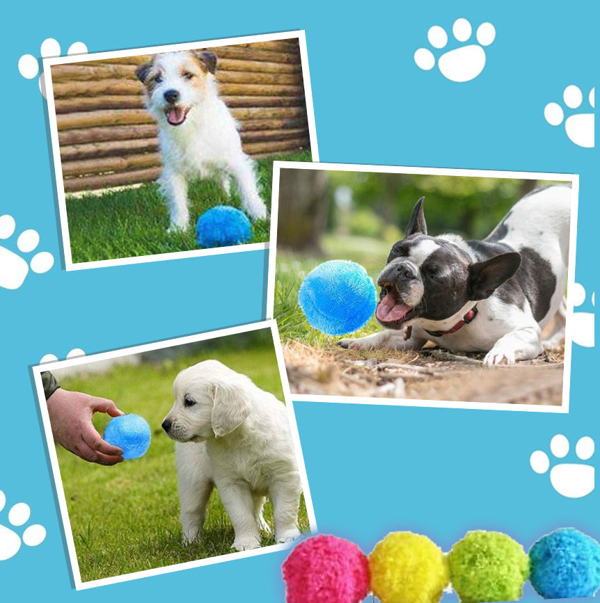 🐾 Zero Effort Playtime, Endless Pet Fun | RZXEA™ Active Rolling Ball
