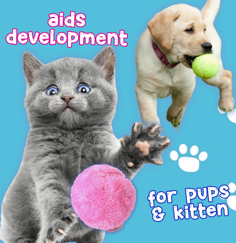 🐾 Zero Effort Playtime, Endless Pet Fun | RZXEA™ Active Rolling Ball
