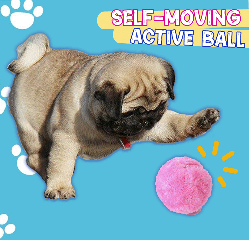 🐾 Zero Effort Playtime, Endless Pet Fun | RZXEA™ Active Rolling Ball