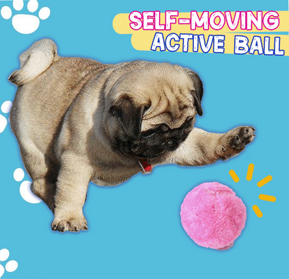 🐾 Zero Effort Playtime, Endless Pet Fun | RZXEA™ Active Rolling Ball
