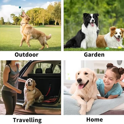 Petiblet™  Rinse-Free Dog Shampoo Mitts – Hypoallergenic Pet Bath Wipes